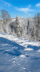 Winter Gorgany massiv mountains scenery view from Yablunytsia pass, Carpathians, Ukraine.