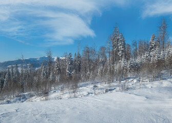 Winter Svydovets massiv mountains scenery view from Yablunytsia pass, Carpathians, Ukraine.