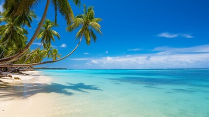 Fototapeta na wymiar A tropical beach with palm trees and clear blue waters