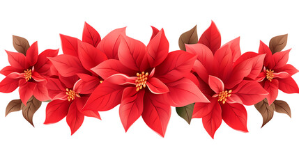 red poinsettia flower isolated on white background png
