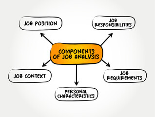 Components of Job Analysis - process of studying a job to determine which activities and responsibilities it includes, mind map text concept background