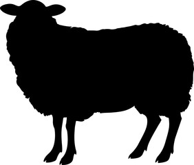 sheep illustration isolated on transparent background. 
