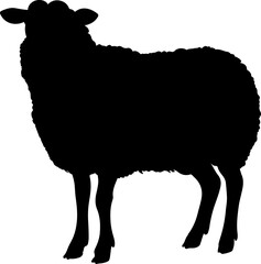 sheep illustration isolated on transparent background. 
