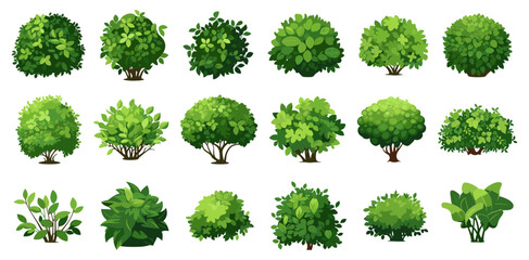 Cartoon shrub bush set. Garden green decoration bushes, illustrated hedge shrubs plants isolated on white - obrazy, fototapety, plakaty