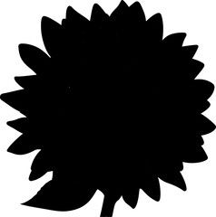 sunflower vector illustration isolated on transparent background. 
