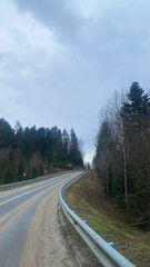 Fototapeta premium road with bumpers through the forest