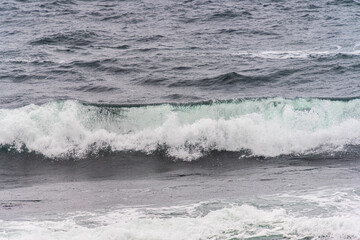 Fototapeta premium Wave breaking in cold waters.