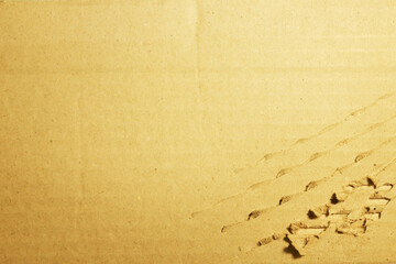 Torn, damaged cardboard or cardboard boxes, leaving claw marks. 