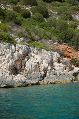 Mediterranean bush on the cliff at Cala Dragunara. Alghero, Sassari, Sardinia. Italy
