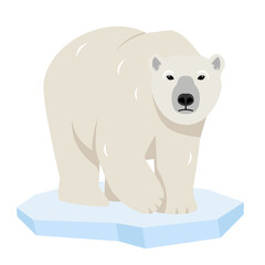 White Polar bear on ice floe. Wild polar Bear animal of the Arctic and the Arctic Circle. Vector icon illustration icon isolated on white background.