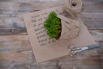 Green plants, gloves, scissors, gardening accessories on wooden table, concept transplanting...