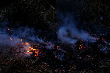 burning conflagration, burning ash, charred dry grass in forest, acrid gray smoke, wildfire, rural...