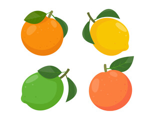 Set of citrus fruits icons. Fresh whole orange, lemon, lime and grapefruit with leaves. Organic fruits for juice, smoothie or vitamin C healthy food. Vector illustration isolated on white background.