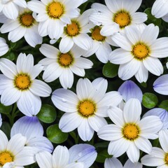 Obraz premium Seamless pattern. Illustration. Chamomile, daisy flowers