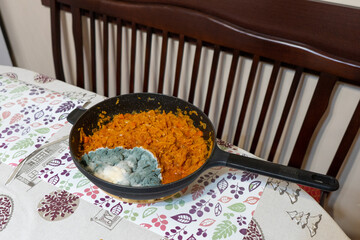 Abandoned stewed cabbage in the pan partially covered with moss