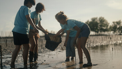 Group of volunteers cleaning on the beach - 733446679