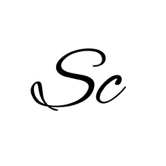 A hand-drawn signature logo design template	