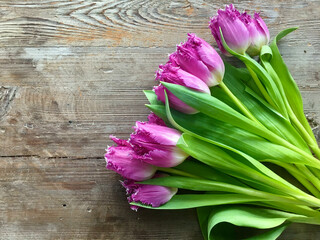 pink tulips on wooden background