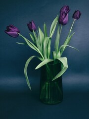 Tulips in a vase on a dark background 