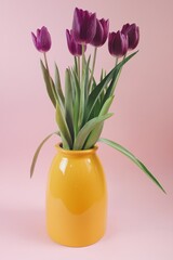Purple tulips in a yellow vase 