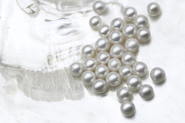 Expensive and luxurious saltwater South Sea pearls in a white shell, ready to be made into earrings, pendants or necklaces and sold in jewelry store. Popular feminine wedding accessory.