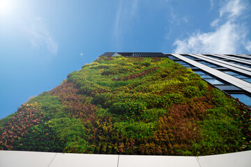 green construction - beautiful natural facade of an office building - ecological construction - ESG policy