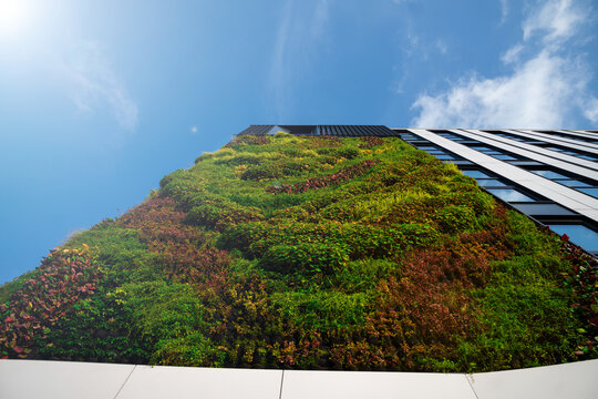 green construction - beautiful natural facade of an office building - ecological construction - ESG policy