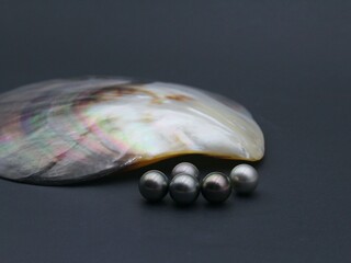 Expensive and luxurious Tahiti black pearls on black background near rainbow-colored nacre shell, ready to be made into earrings, pendants or necklaces and sold in jewelry store. 