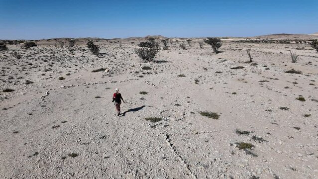 tourist woman immerses herself in the captivating scenery of Wadi Dawkah Natural Park in Oman, capturing the mesmerizing beauty of the Frankincense Tree groves, a designated UNESCO World Heritage Site