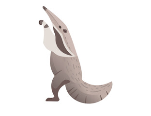 Anteater mammal cartoon animal design vector illustration isolated on white background