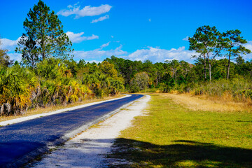Flatwood park in Tampa, Florida