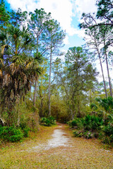 Flatwood park in Tampa, Florida