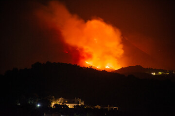 Fototapeta na wymiar Trees devoured by flames. Forest fire in corfu island. Fine art forest burn Problem with climate change 