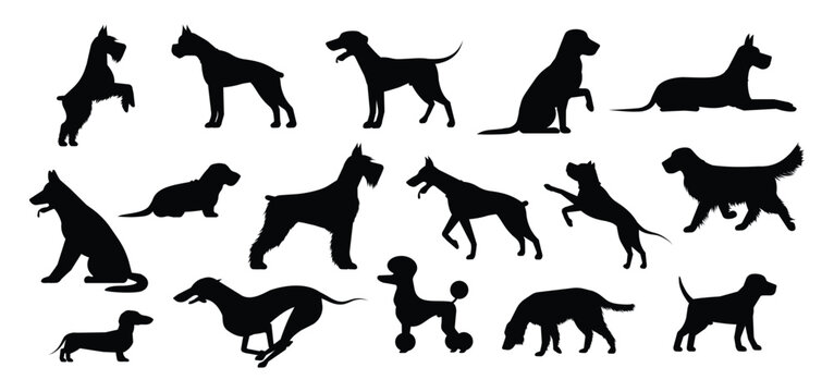 Set silhouette of dog isolated on white background