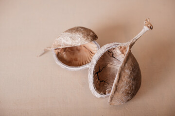 Buddanut decoration for home