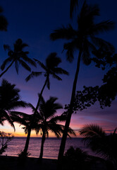 Fototapeta na wymiar Sunset with Palm trees