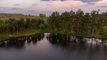 reflection of trees in the water