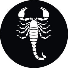 Scorpion logo. Isolated scorpion on white background