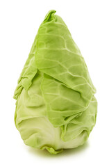 Fresh pointed cabbage