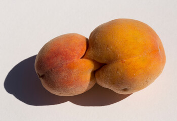 Two glued peach fruits. Siamese twins. A fruit anomaly.
