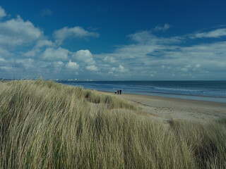 Fototapeta na wymiar sand dunes the beach (Dorset, England)