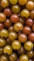 A close-up view of a group of ripe, vivid Gooseberry with a deep, textured detail.