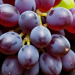 An up-close look at a cluster of ripe, vibrant grapes with intricate details