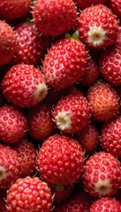 A close-up view of a group of ripe, vivid Pineberry with a deep, textured detail. 