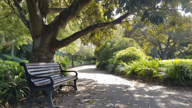 Bench under the tree in the Royal Botanic Gardens