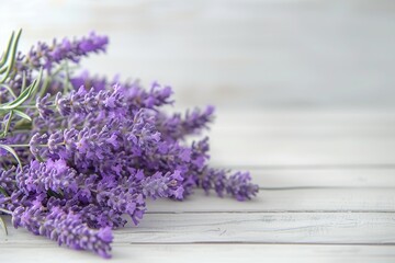 Lavender Bliss: Panoramic Banner with Flowers and Oils

