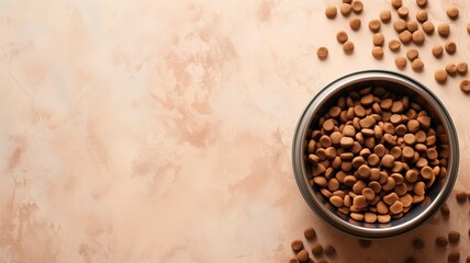 Obraz na płótnie Canvas Dog food in a bowl on textured background