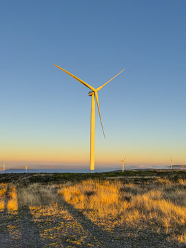 Lansdcape with wind turbines. Renewable energy on the middle of Serra da Freita Arouca Geopark, in center of Portugal