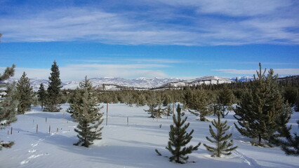 Fototapeta na wymiar winter landscape with snow in Granby, CO