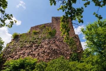 Fototapeta na wymiar Burg Ruine Alt Eberstein in Ebersteinburg - Baden-Baden im Frühjahr
